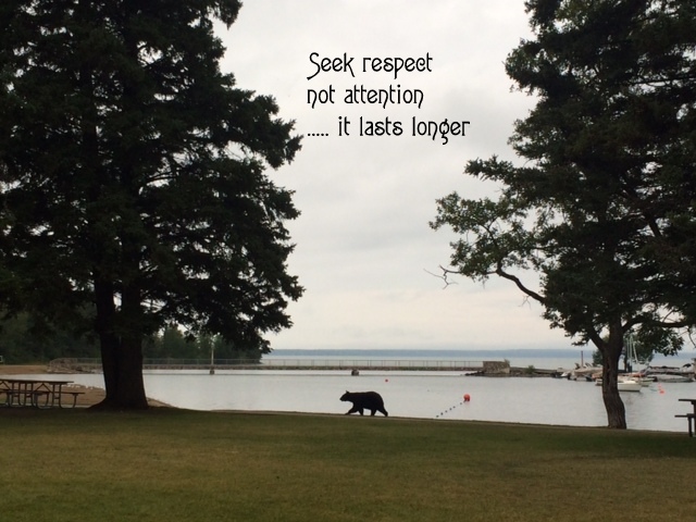 Respect by Nancy MacKay